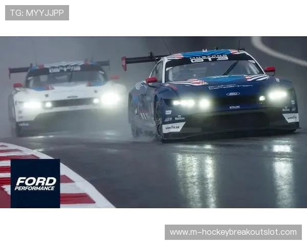 轮胎策略成卡塔尔站胜负关键因素